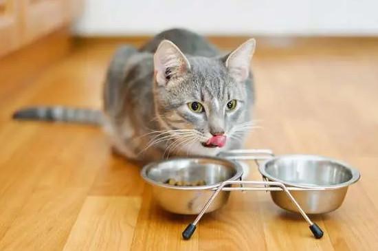 猫可以吃地瓜吗,熟的